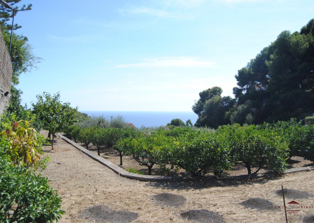 Sale Villas Bordighera - Villa with Sea View , garden and olive grove Locality 